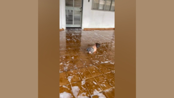 پسر بی دست و پا